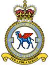 45(R) Sqn Crest