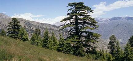chitral